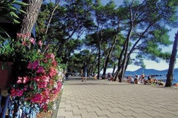 Adria Apartments Biograd na Moru Kültér fotó